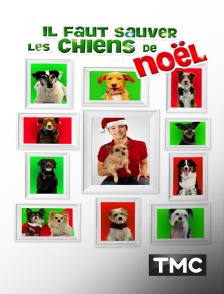 TMC - Il faut sauver les chiens de Noël