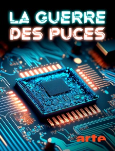 Arte - La guerre des puces