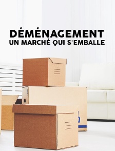Déménagement, un marché qui s'emballe