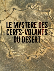 Le mystère des cerfs-volants du désert