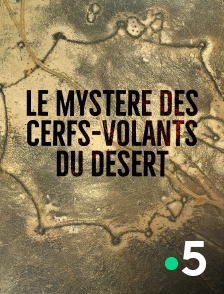 France 5 - Le mystère des cerfs-volants du désert