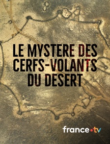 france.tv - Le mystère des cerfs-volants du désert