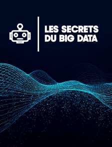 Les secrets du big data