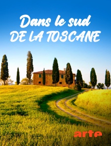 Arte - Dans le sud de la Toscane : De San Gimignano à la Maremme