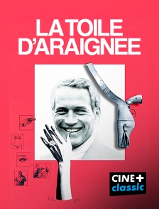 La toile d'araignée