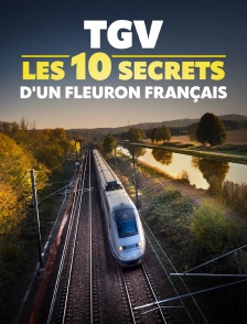 TGV : les 10 secrets d'un fleuron français
