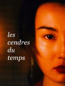 Les cendres du temps
