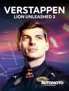 Automoto - Verstappen : Lion Unleashed X2