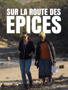 Sur la route des épices