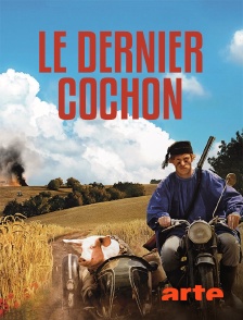 Arte - Le dernier cochon