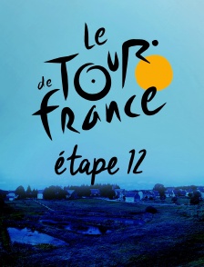 Cyclisme : Tour de France 2020 - Etape 12 : Chauvigny - Sarran Corrèze (218 km)
