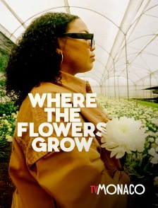 TV Monaco - Where the flower grow