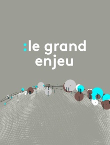 Le grand enjeu