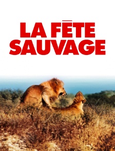 La fête sauvage