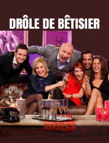 Drôle de bêtisier