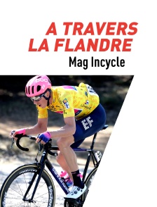 Mag Incycle