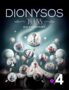 France 4 - Dionysos - les trente ans