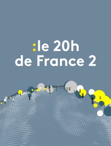 Le 20h de France 2 (Journal)