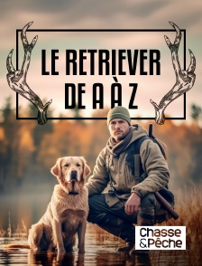 Chasse et pêche - Le retriever de A à Z