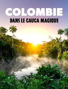 Colombie : Le sud-ouest du pays