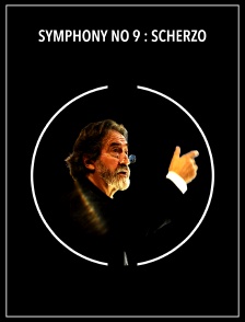 Symphony no 9 : Scherzo