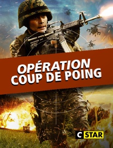 Opération coup de poing