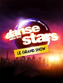 Danse avec les stars : le grand show