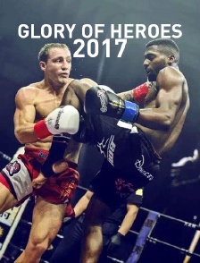 Glory of Heroes 2017