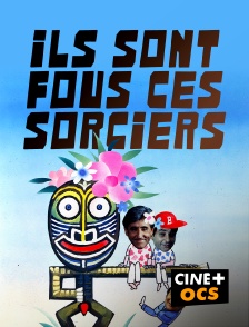 CINÉ Cinéma - Ils sont fous ces sorciers