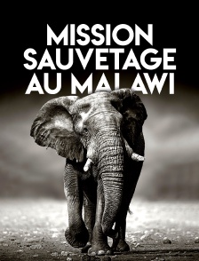 Mission sauvetage au Malawi