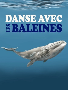 Danse avec les baleines