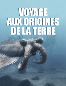 Voyage aux origines de la Terre