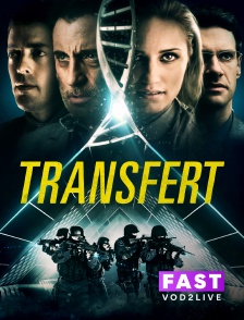 Molotov Channels TEST FAST - Transfert