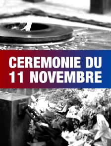 Cérémonie du 11 novembre