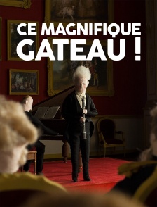 Ce magnifique gâteau !