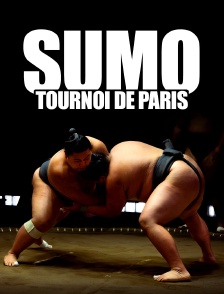 Sumo : Tournoi de Paris