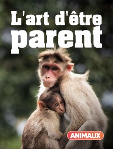 Animaux - Animaux, l'art d'être parent