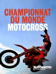 Championnat du monde de motocross