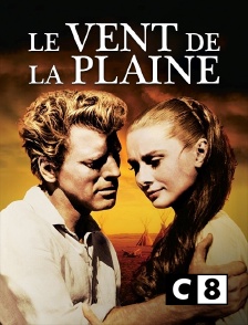 C8 - Le vent de la plaine