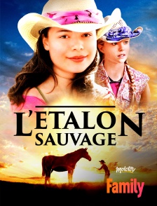 L'étalon sauvage