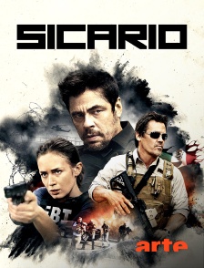 Arte - Sicario