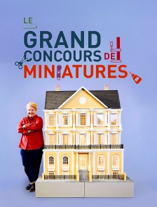 Le grand concours de miniatures