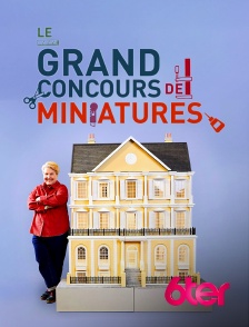 6ter - Le grand concours de miniatures