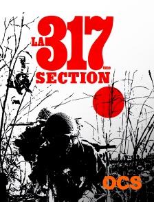 LA 317ÈME SECTION