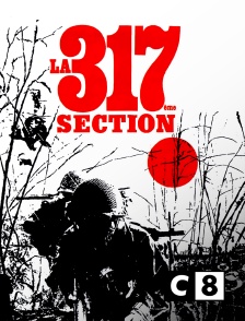 C8 - La 317ème section