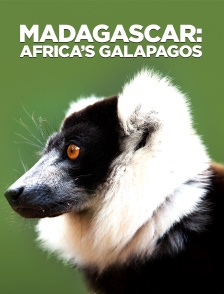 Madagascar: Africa's Galapagos