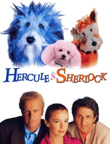 Hercule & Sherlock