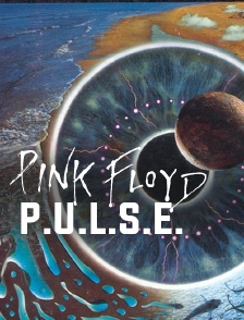 Pink Floyd, P.U.L.S.E.
