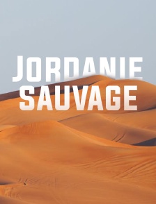 L'Arabie à l'état sauvage