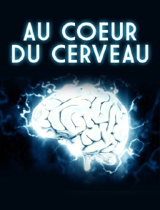 Au coeur du cerveau